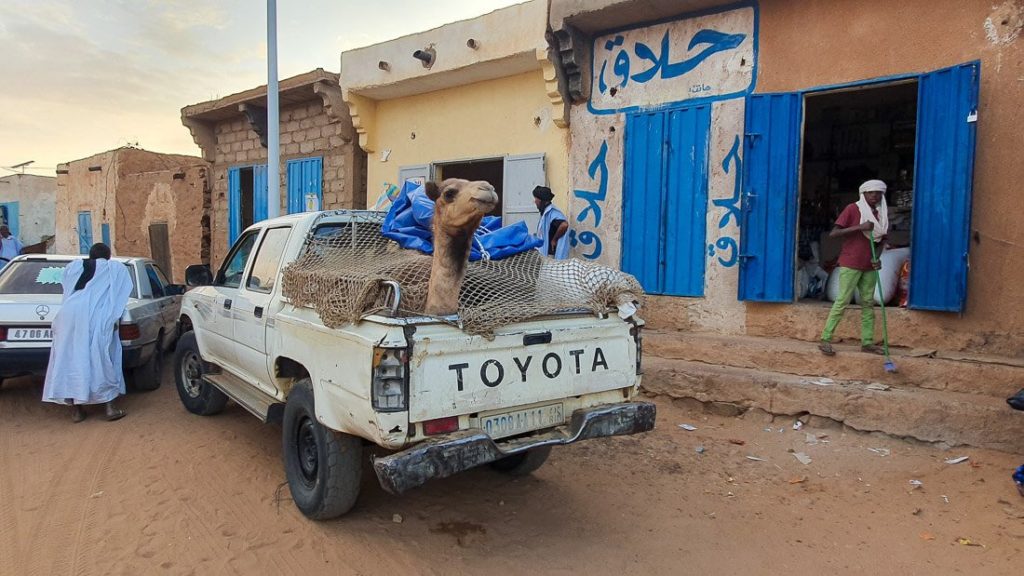 Cómo viajar por Mauritania