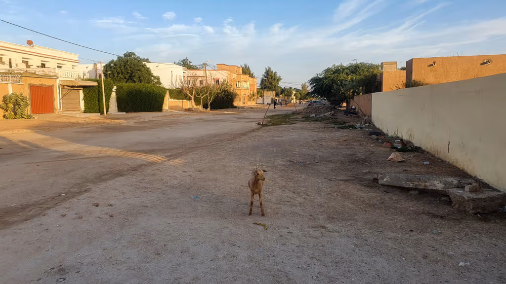 visiting Nouakchott