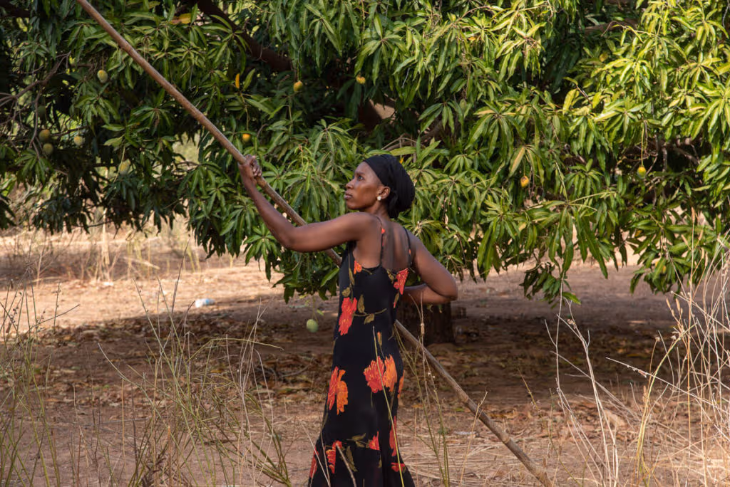 best time to visit Mali