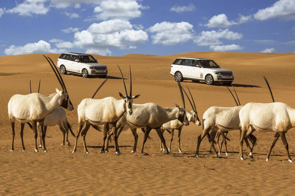 desert safari in dubai location
