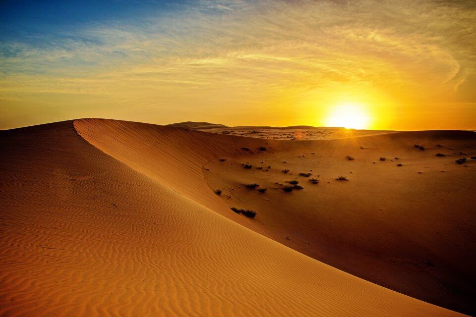 which dubai desert safari is best