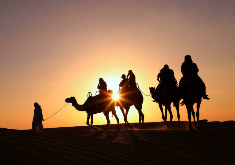 10 best desert safaris in Dubai - Against the Compass