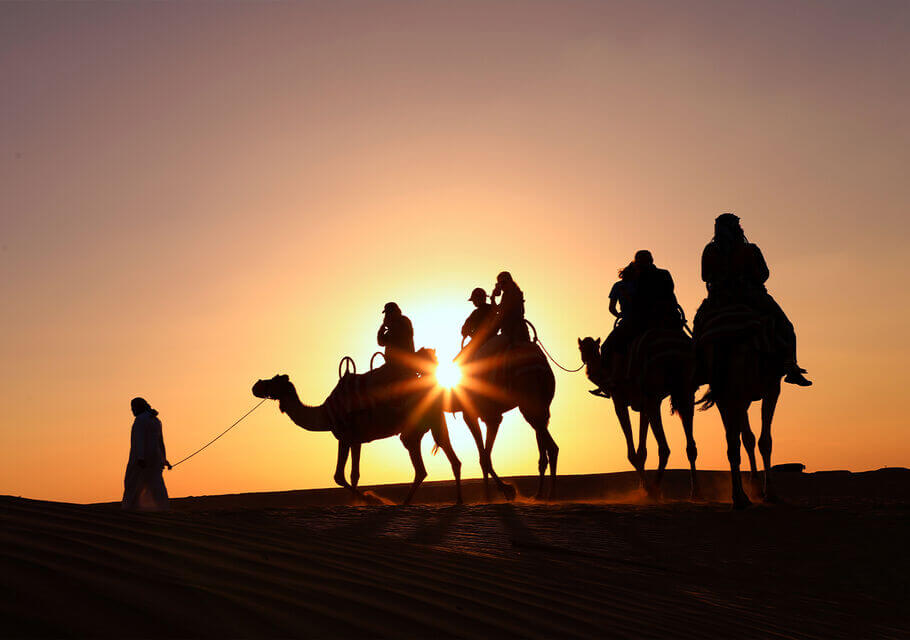 best desert safari dubai