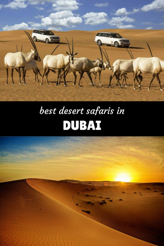 desert safari dubai