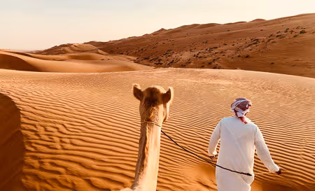 25 best tours, excursions and activities to do in Dubai