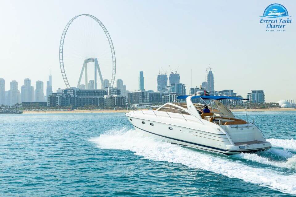 best day tours in dubai