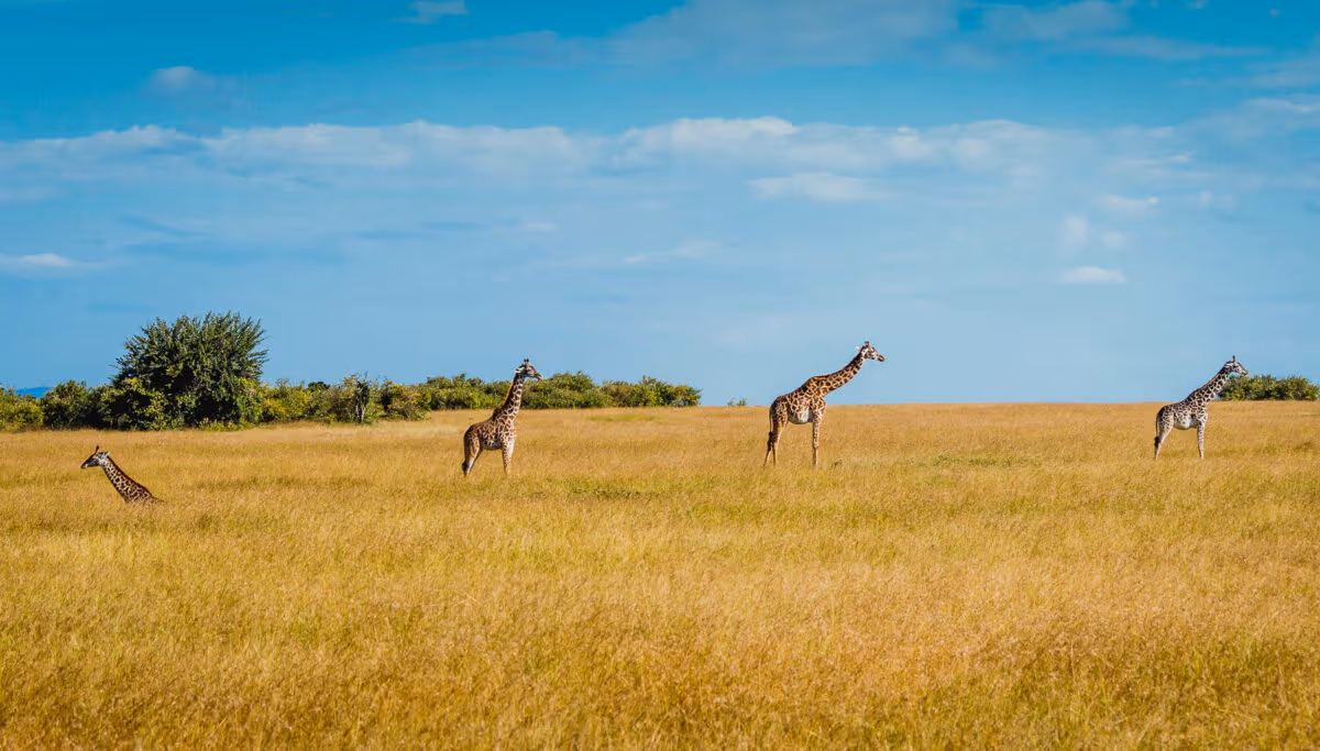 Kenya
