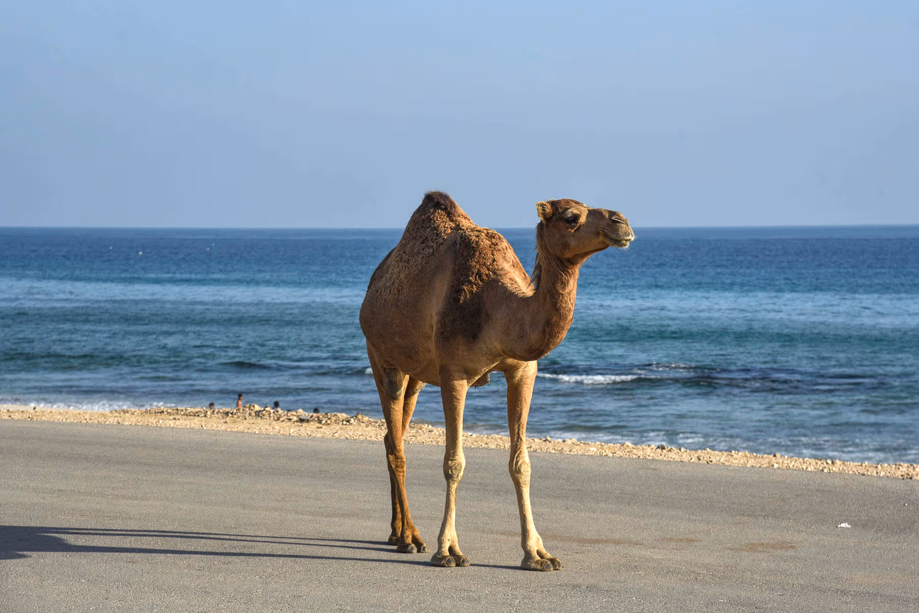 Oman