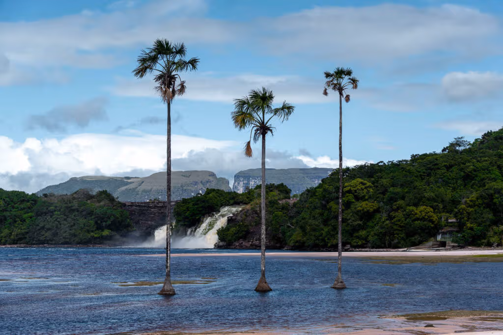Travel to Canaima
