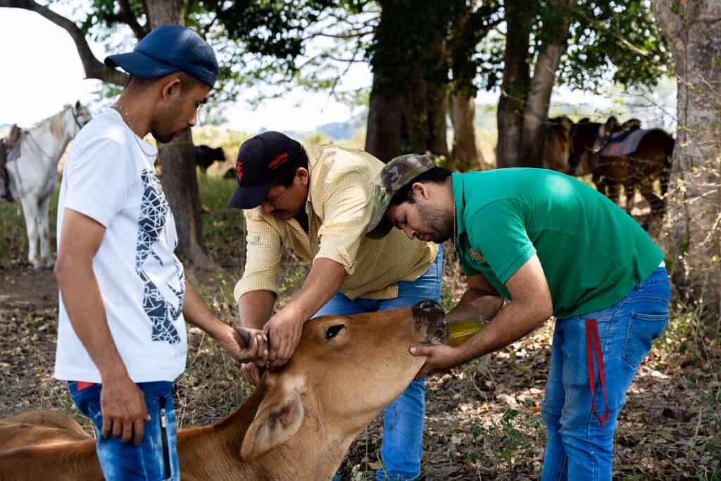 Cultura en Los Llanos