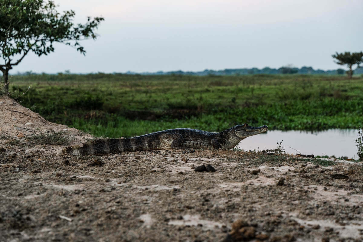 Visita Los Llanos
