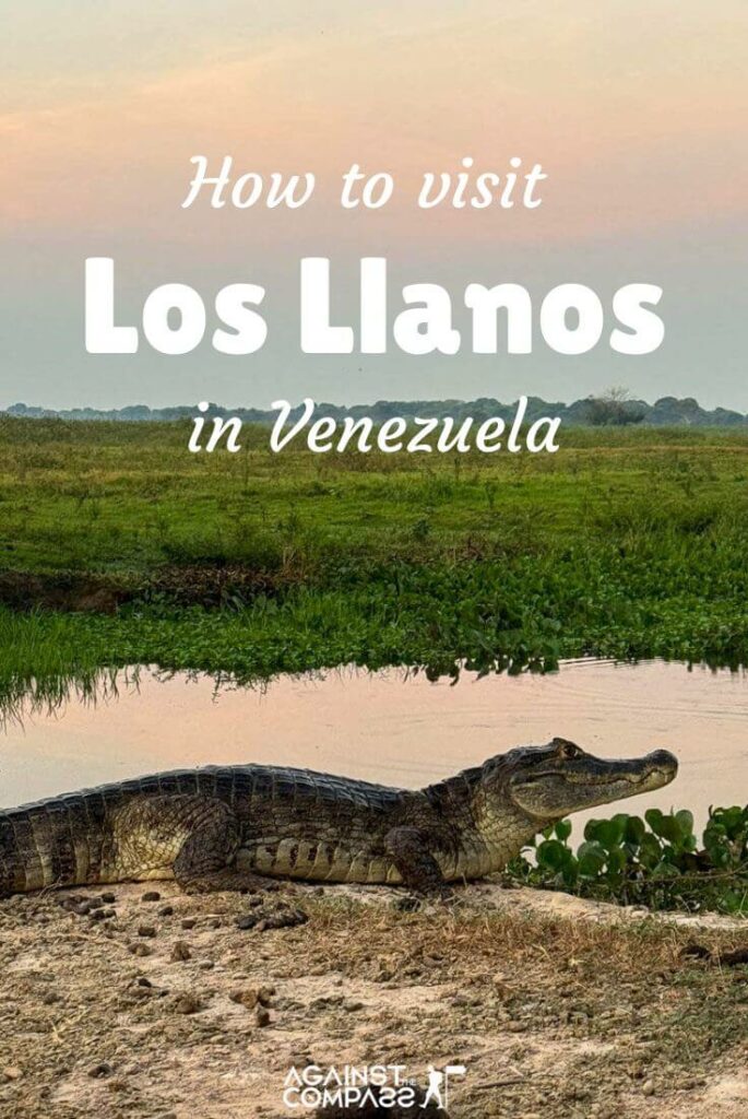 Los Llanos travel guide