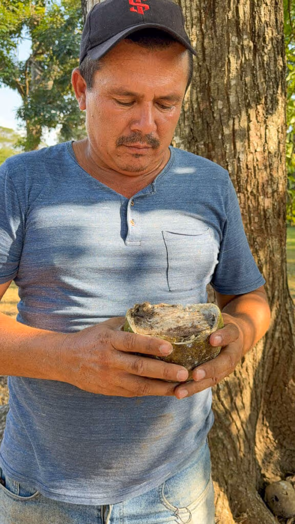 Gente Los Llanos