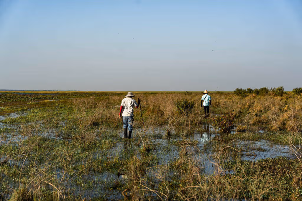 Safari Los Llanos