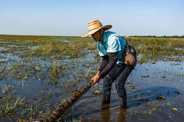 Cómo visitar Los Llanos en Venezuela