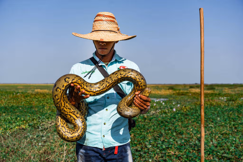 viajar a los llanos