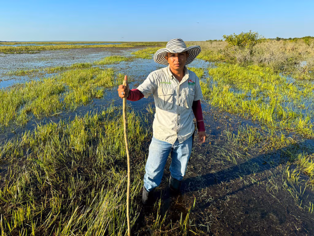 ¿Por qué visitar Los Llanos?