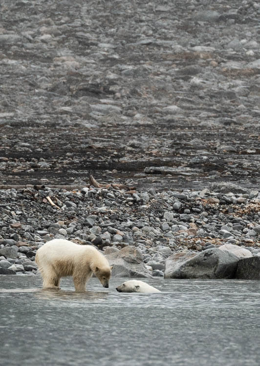 Svalbard text box category