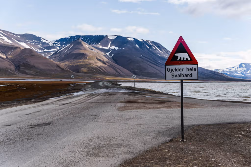 Polar bear sign