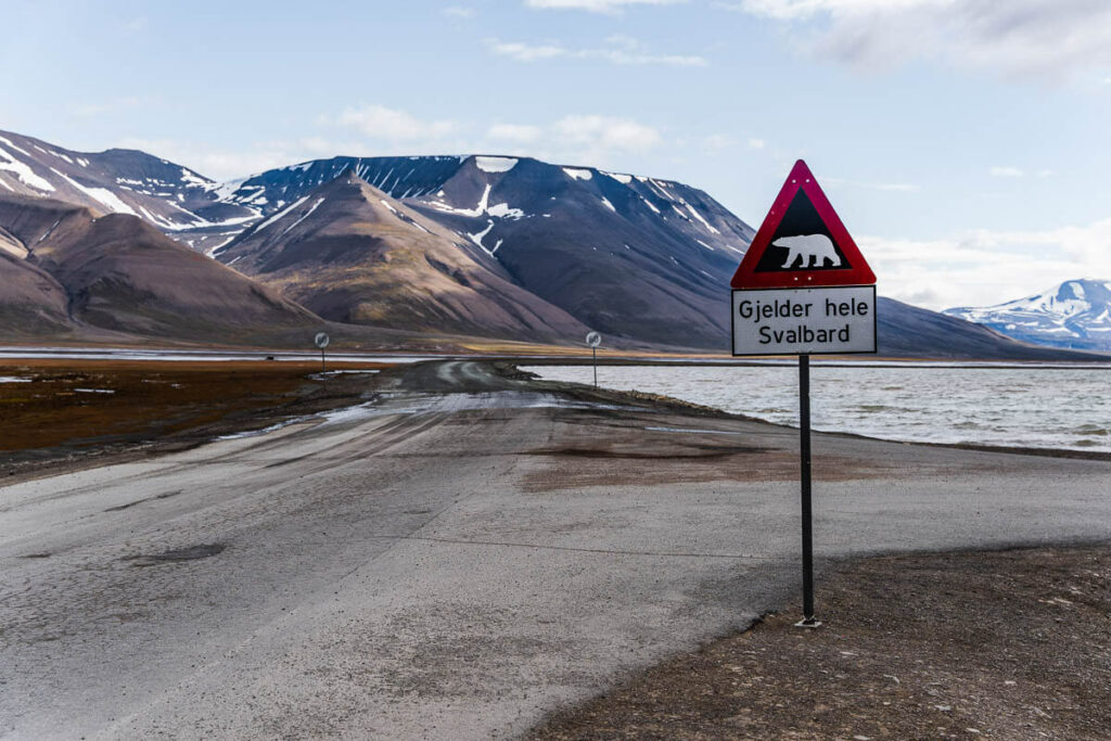 Polar bear sign