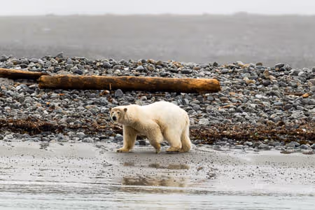 How to travel to Svalbard in 2024