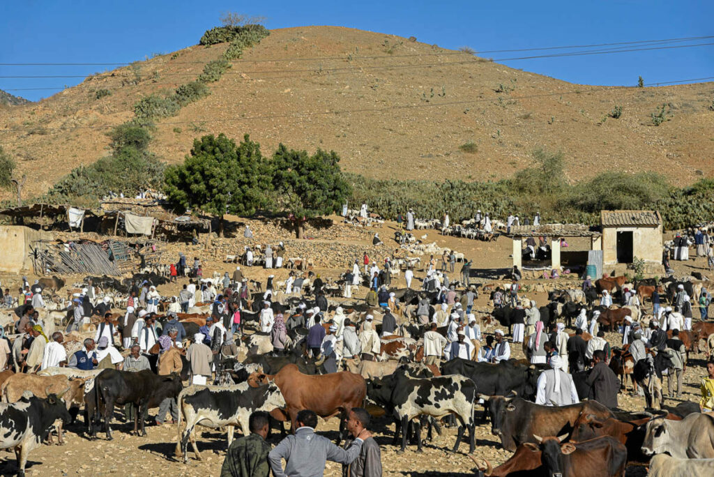 Mercado de animales de Keren