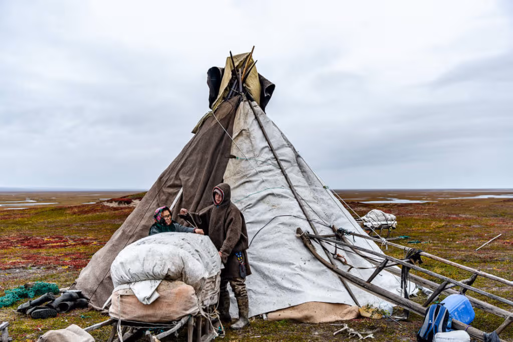 Nenets chum