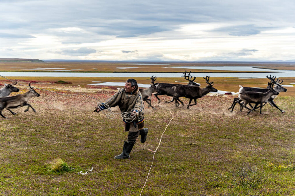 Nenets en verano