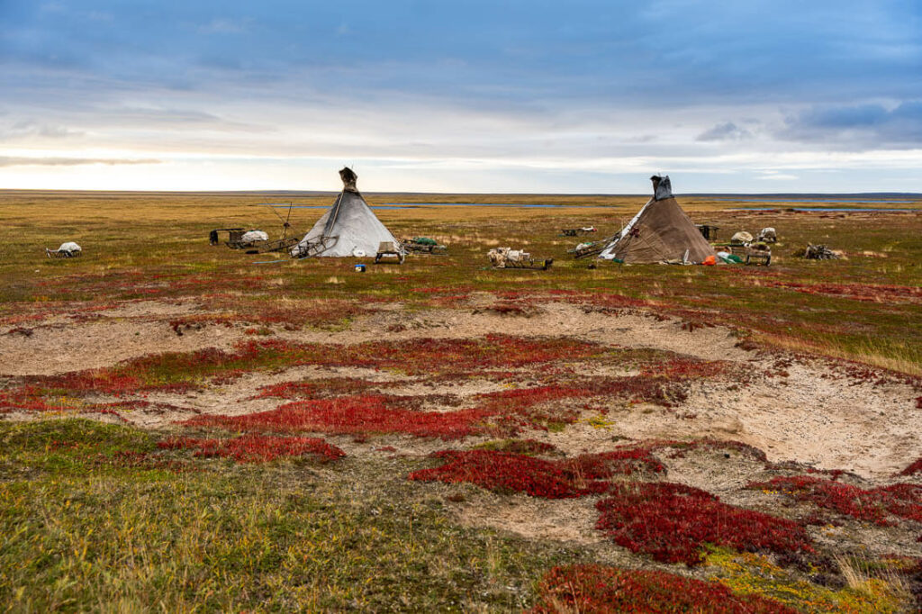 Ubicación de los nenets