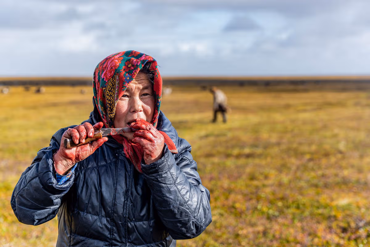 How to visit the Nenets in Yamalia (Arctic Russia)