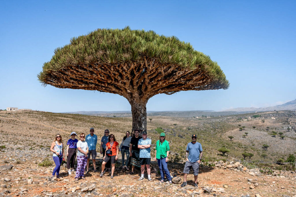 Best tours for Socotra