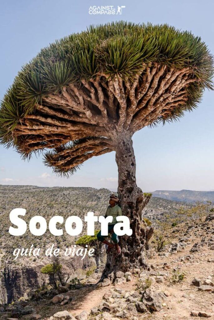 Viajar a Socotra