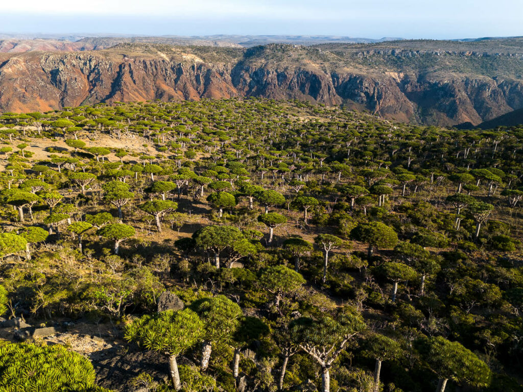 can I travel to Socotra