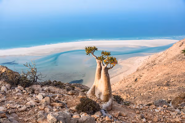 How to travel to Socotra in 2025