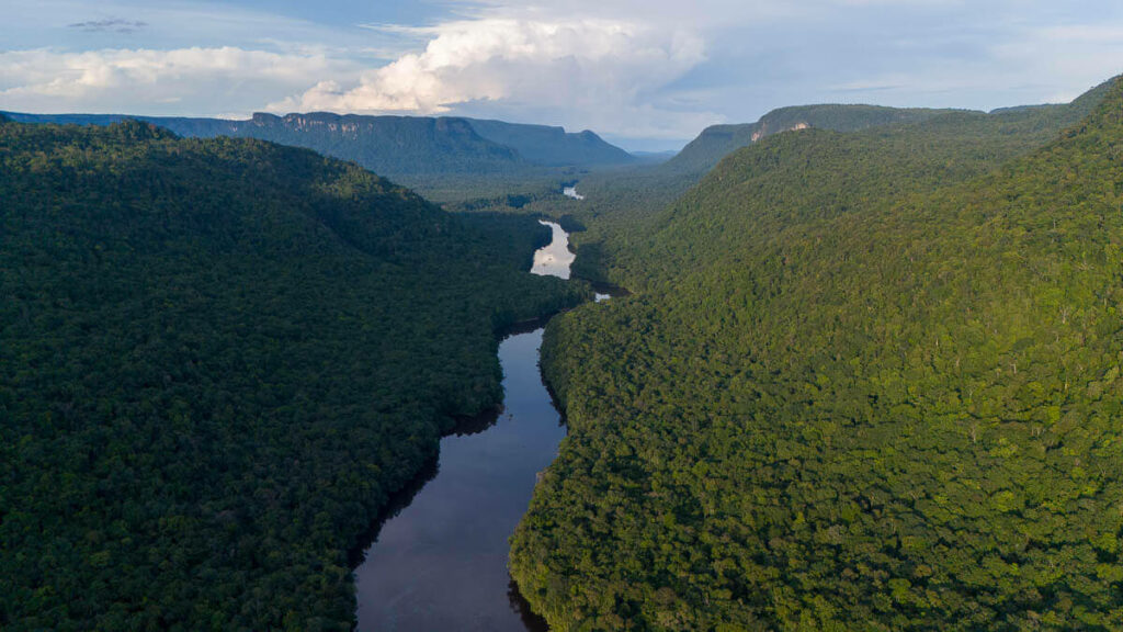 Las Guyanas son en su mayoría bosques densos, foto tomada en el sur de Guyana (británica)