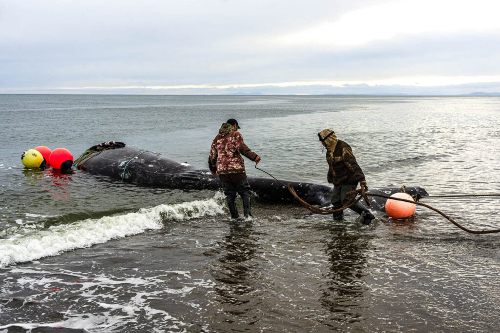 Life in Chukotka