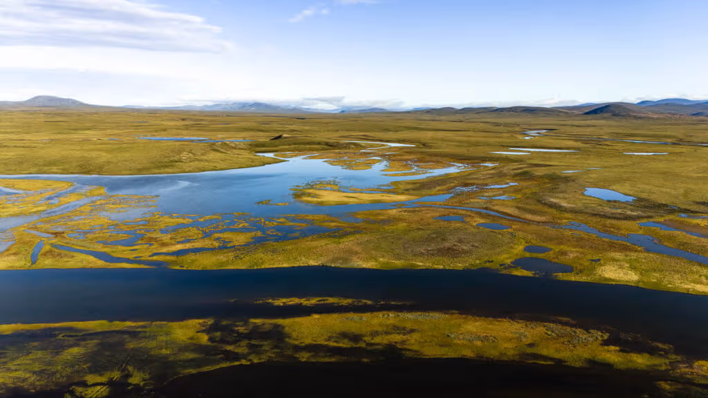 Tundra Chukotka