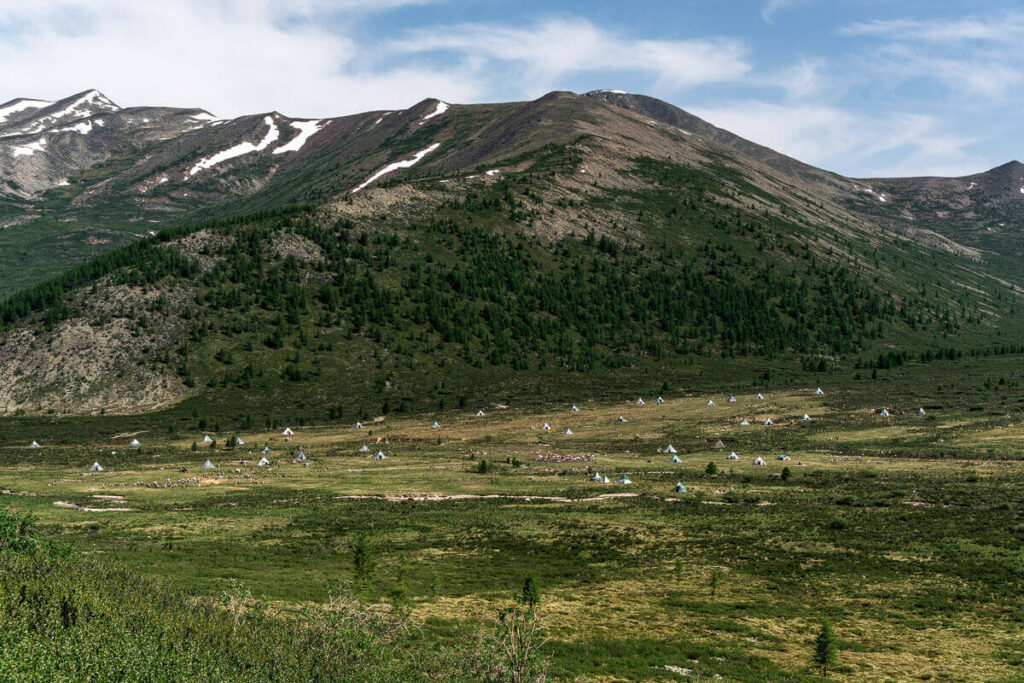 Taiga nomads Tsaatan