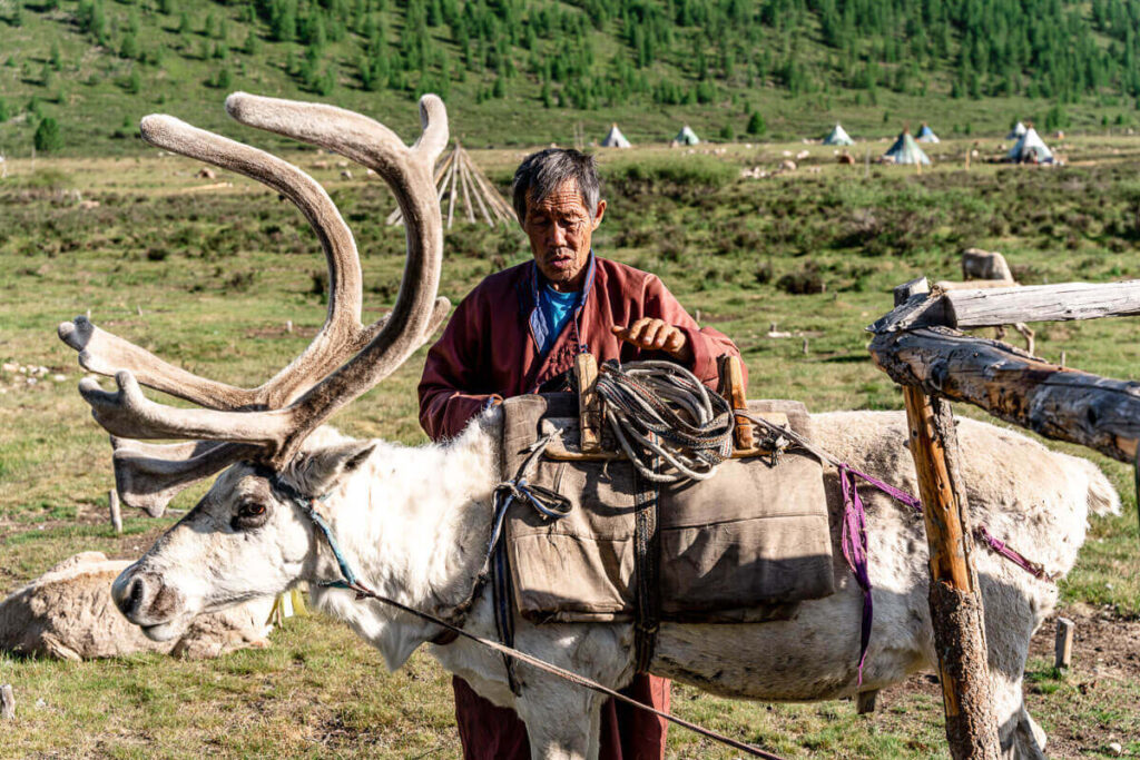 Reindeer nomads Mongolia