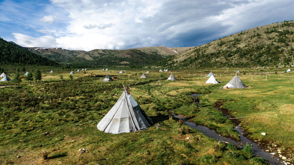 Taiga Mongolia