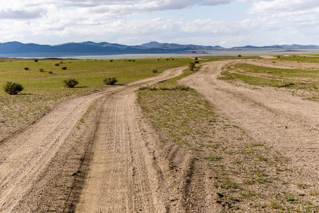 Mongolian steppe