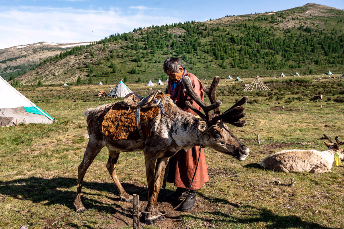 How to visit the Tsaatan reindeer herders in Mongolia