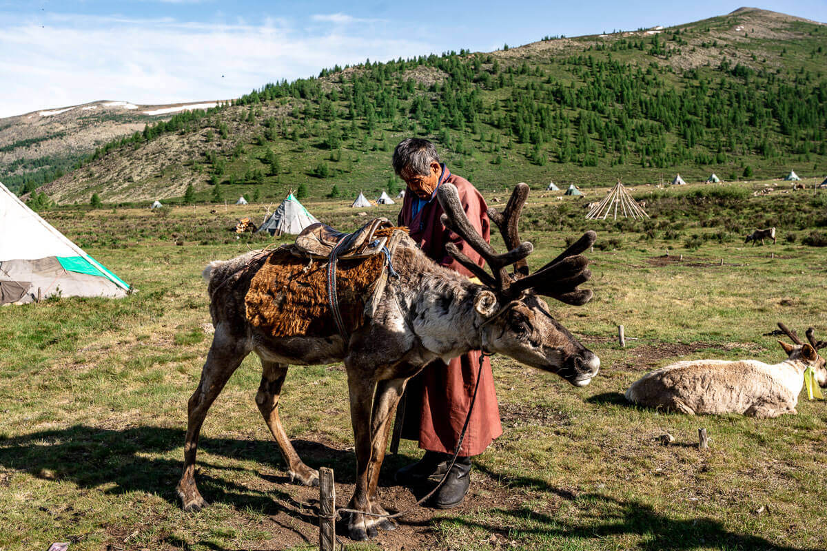 How to visit the Tsaatan reindeer herders in Mongolia