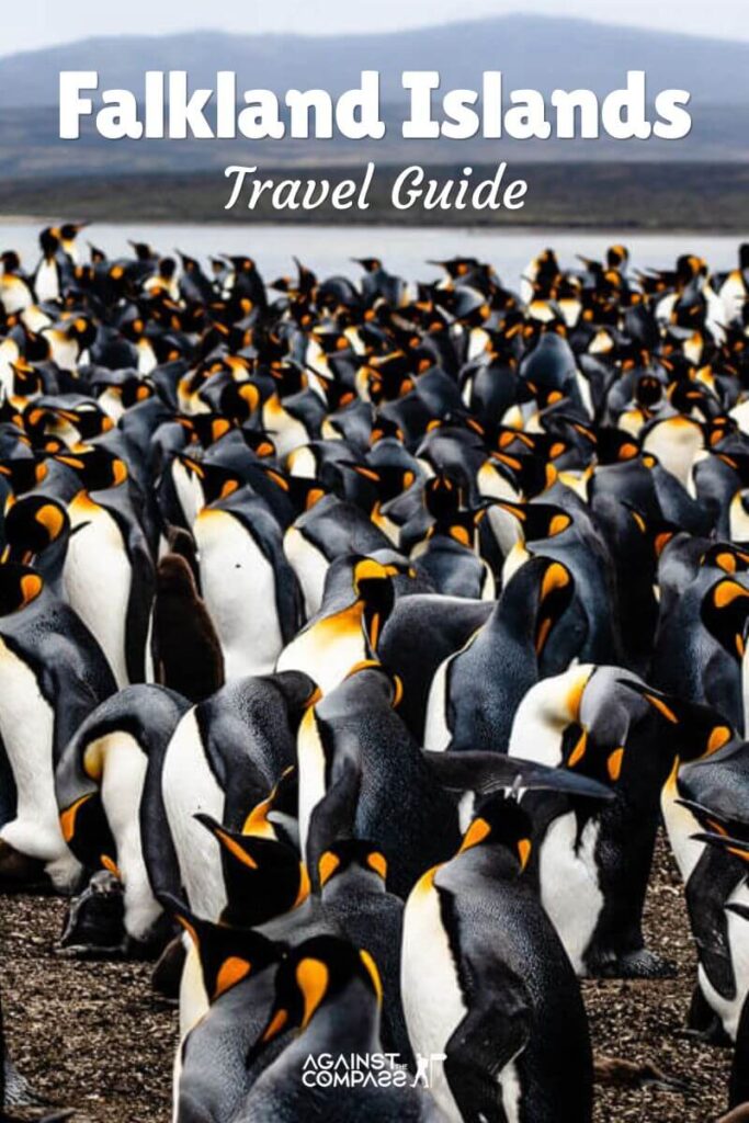 Falkland Islands Travel Guide