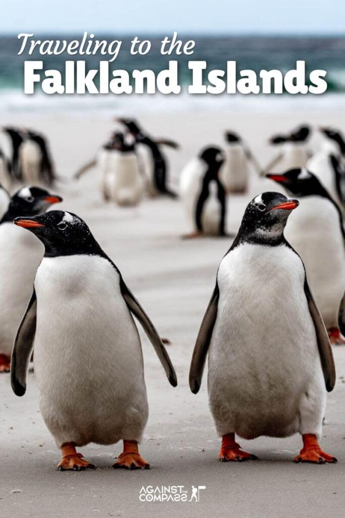Traveling to the Falkland Islands
