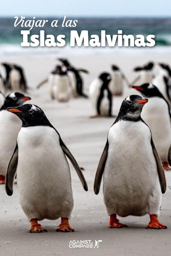 Viajar a las Islas Malvinas