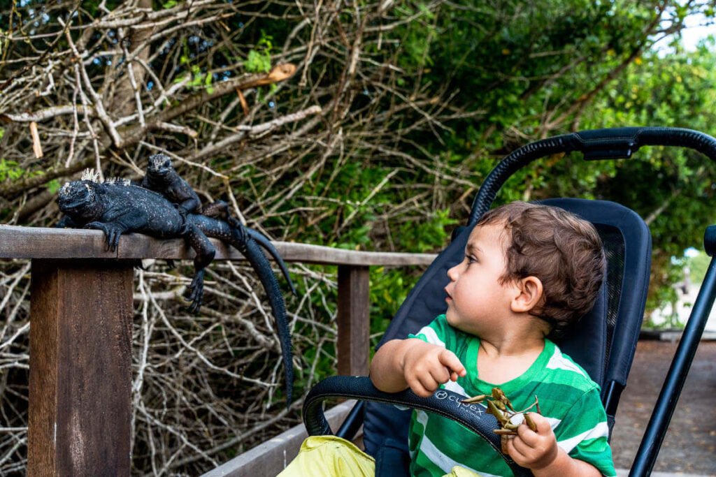 Central America with kids