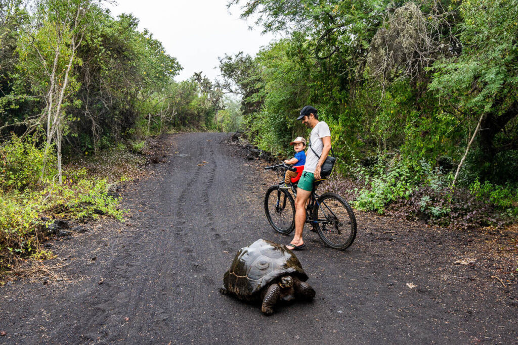 Galápagos with kids