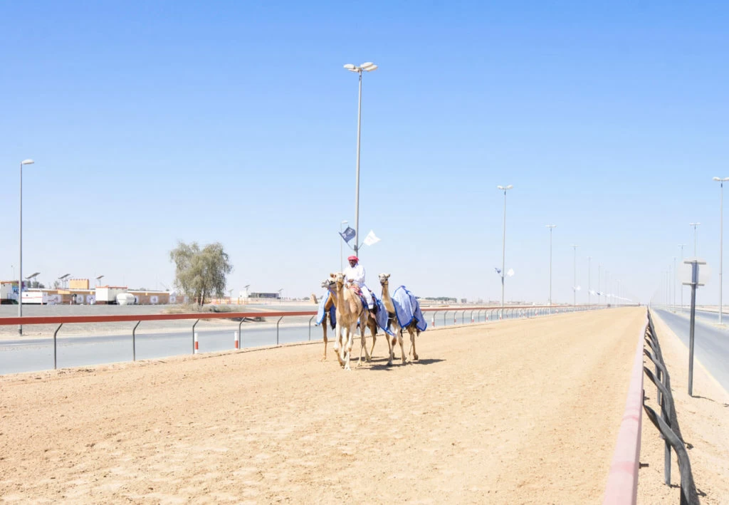 Viaje a Dubai barato