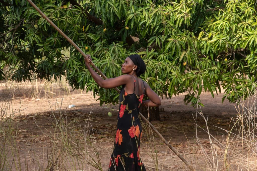 best time to visit Mali